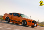 Ford Mustang GT Supercharged by Mihai