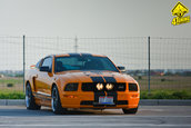 Ford Mustang GT Supercharged by Mihai