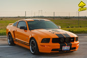 Ford Mustang GT Supercharged by Mihai