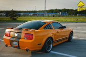 Ford Mustang GT Supercharged by Mihai