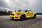 Ford Mustang HPE750