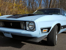 Ford Mustang Mach 1 de vanzare