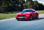 Ford Mustang Mach 1 - Start livrari