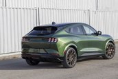 Ford Mustang Mach-E GT Bronze Appearance Package