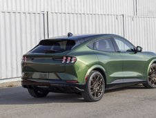Ford Mustang Mach-E GT Bronze Appearance Package