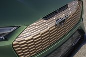 Ford Mustang Mach-E GT Bronze Appearance Package