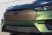 Ford Mustang Mach-E GT Bronze Appearance Package