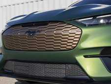Ford Mustang Mach-E GT Bronze Appearance Package