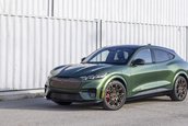 Ford Mustang Mach-E GT Bronze Appearance Package