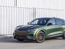 Ford Mustang Mach-E GT Bronze Appearance Package
