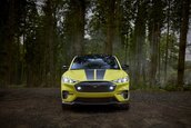 Ford Mustang Mach-E Rally