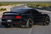 Ford Mustang Shelby GT350 Fathouse Performance