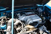 Ford Mustang SVT Cobra cu 50 de kilometri la bord