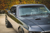 Ford Mustang SVT Terminator Cobra