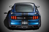 Ford Shelby GT350R 2015