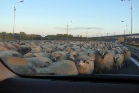 Fotografii incredibile realizate pe Autostrada Soarelui Fotografii incredibile realizate pe Autostrada Soarelui