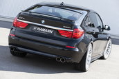 "Frumoasa" din padurea adormita: BMW Seria 5 GT by Hamann