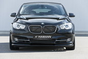 "Frumoasa" din padurea adormita: BMW Seria 5 GT by Hamann