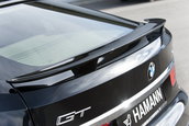 "Frumoasa" din padurea adormita: BMW Seria 5 GT by Hamann