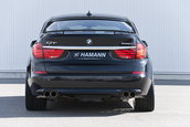 "Frumoasa" din padurea adormita: BMW Seria 5 GT by Hamann