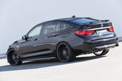 "Frumoasa" din padurea adormita: BMW Seria 5 GT by Hamann