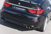 "Frumoasa" din padurea adormita: BMW Seria 5 GT by Hamann