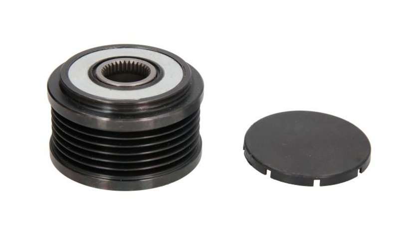 Fulie alternator FIAT BRAVO I (182_) BTA E4D001BTA