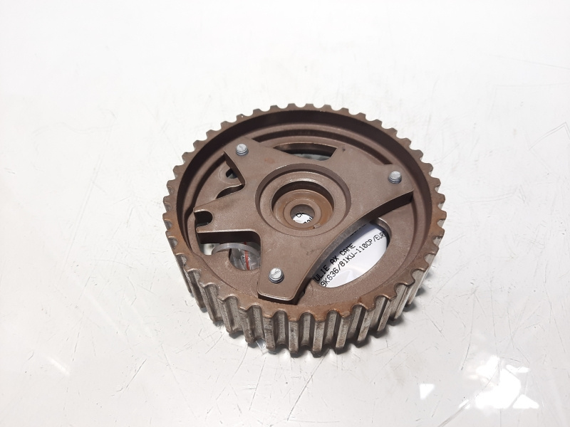 Fulie ax came, cod 130240793R, Renault Megane 3, 1.5 DCI, K9K636 (id:615679)