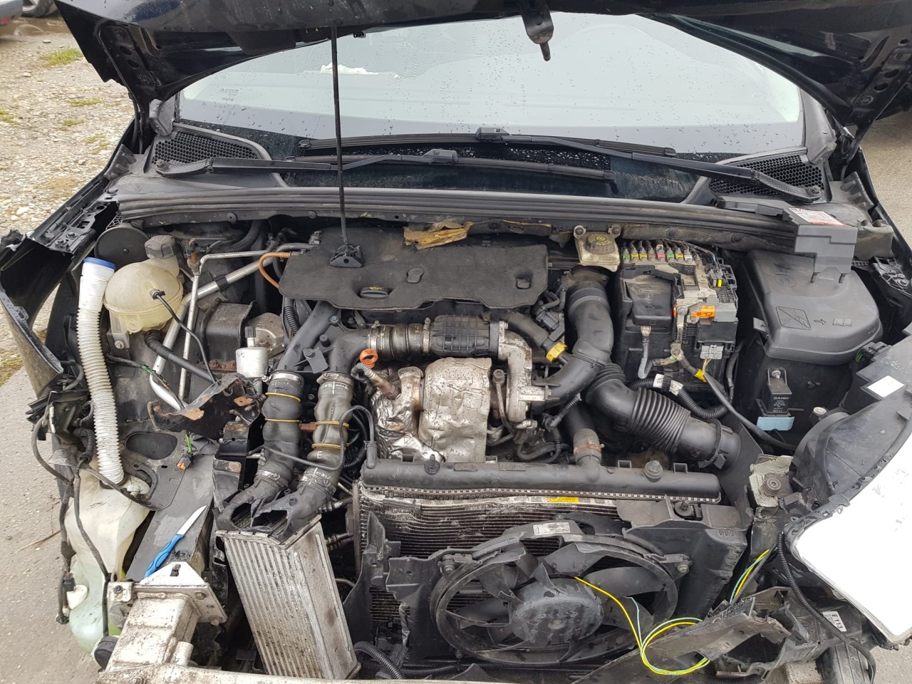 Fulie motor vibrochen Citroen C4 B7 1.6 Hdi 9hp 92 cai 2010 - 2018