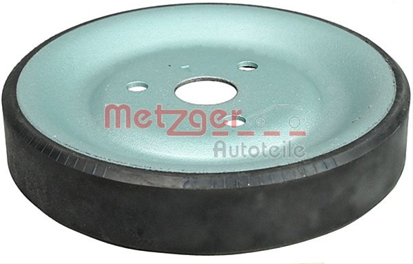 Fulie Pompa Apa Metzger Mini 6400032