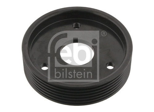 Fulie, pompa servo (29501 FEBI BILSTEIN) RENAULT
