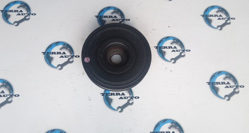 Fulie vibrochen Renault Espace IV1.9 DCI cod motor F9Q
