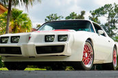 Full Force Trans Am