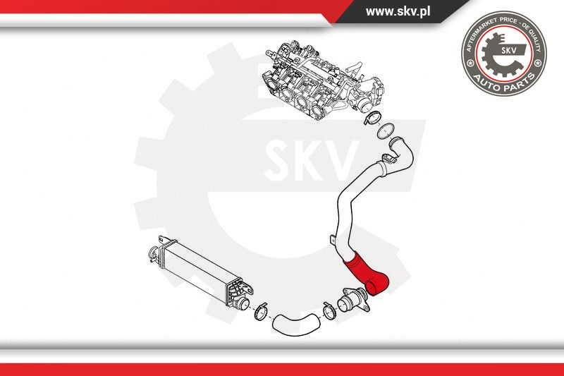 Furtun aer supraalimentare ; ALFA ROMEO Giulietta 1.4 TB ; 50516204