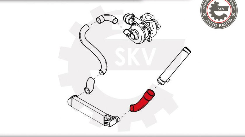 Furtun aer supraalimentare ; BMW 5 E39 520 d ; 11617785396