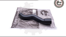 Furtun aer supraalimentare ; CITROEN C5 2.0 hdi ; ...