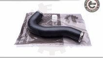 Furtun aer supraalimentare ; CITROEN C8 2.0 2.2 HD...