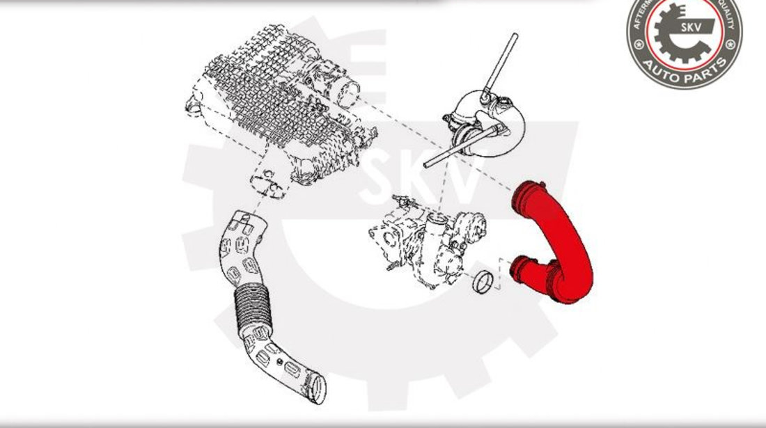 Furtun aer supraalimentare ; DACIA Logan RENAULT Clio II Kangoo Logan I Thalia I ; 8200280084