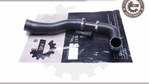 Furtun aer supraalimentare ; FORD Fiesta V 1.6 tdc...