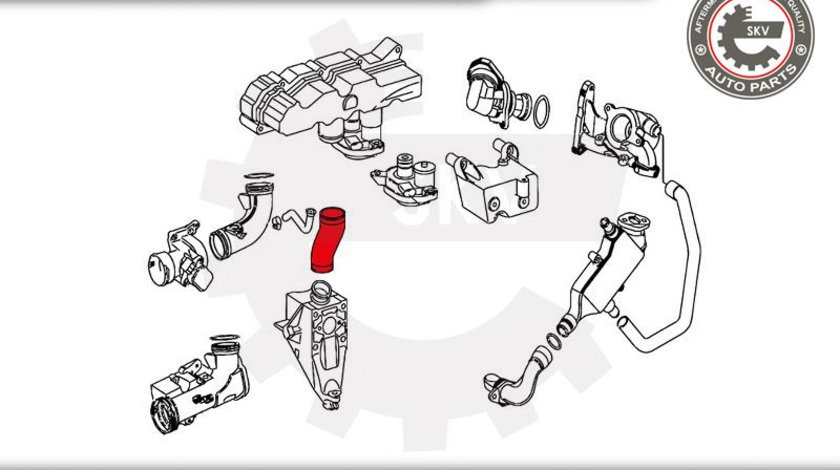 Furtun aer supraalimentare ; MERCEDES BENZ Viano Vito Sprinter ; 6460980083