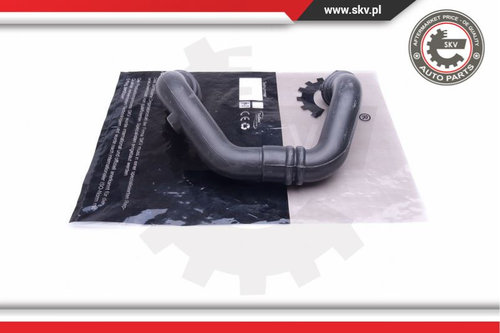 Furtun aer supraalimentare ; RENAULT Clio II Kangoo Megane I Scenic 1.9 DTI ; 8200079999