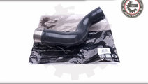 Furtun aer supraalimentare ; RENAULT Clio IV 1.5 d...