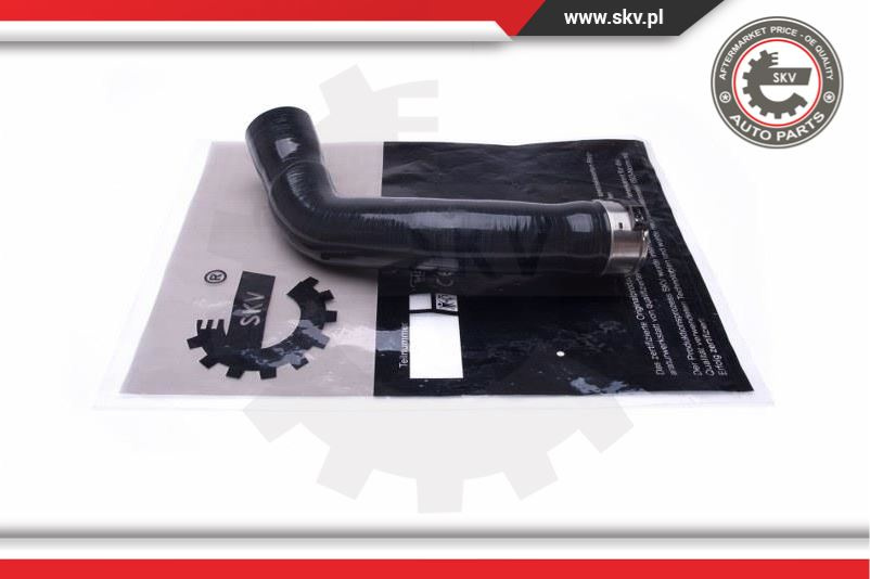 Furtun aer supraalimentare ; RENAULT Kadjar 1.2 TCe 130 ; 144601001R