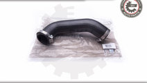 Furtun aer supraalimentare ; RENAULT Master 2.3 bi...