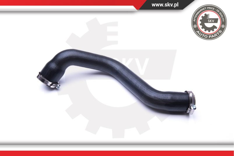 Furtun aer supraalimentare ; RENAULT Megane II 1.5 DCI ; 8200306925