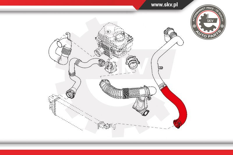 Furtun aer supraalimentare ; RENAULT Movano Master 2.3 DCI ; 8200730576B