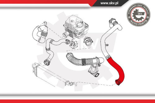 Furtun aer supraalimentare ; RENAULT Movano Master 2.3 DCI ; 8200730576B