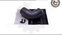 Furtun aer supraalimentare ; SEAT Ibiza III SKODA ...