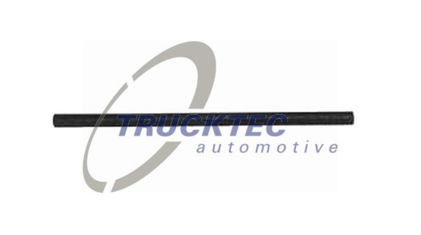 Furtun,aerisire bloc motor (0810100 TRUCKTEC) BMW