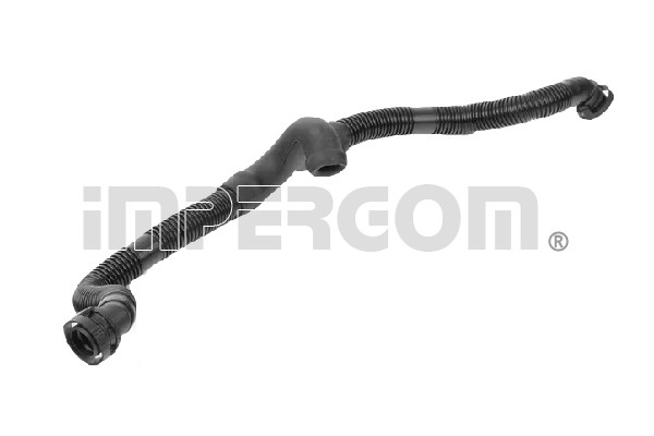 Furtun,aerisire bloc motor partea de jos (223844 IMP) AUDI